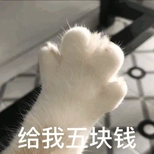 搞笑可爱表情包 搞笑可爱表情包