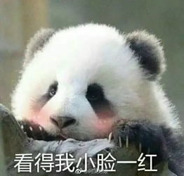  这个胡八一,有点不一样