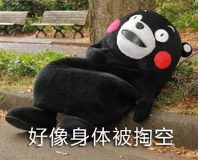  今天是瓜农批发大甩卖吗