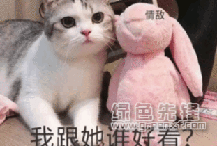 来我怀里表情包表情