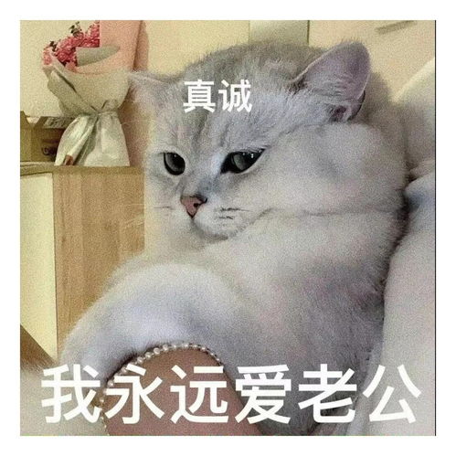  表情包一组有趣的表情包48期