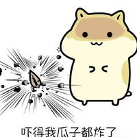  小松鼠表情包原图