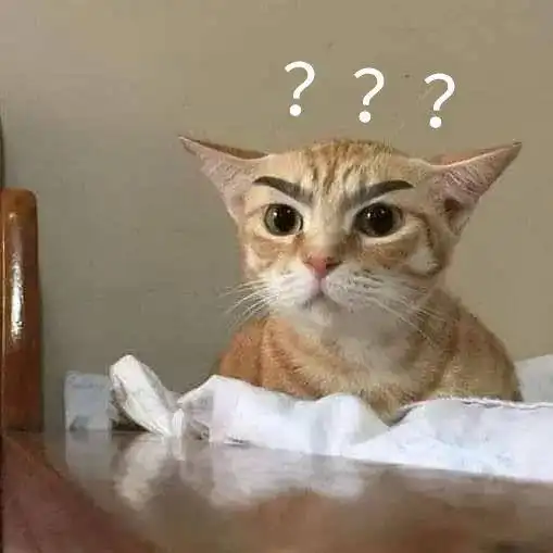 猫咪老师表情包带字人寰