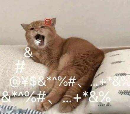  今日表情推荐,312