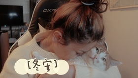  今天粑粑不在家,粘豆竟然麻麻竟然对小猫咪做出这种事︶快来一起云撸猫啦呜呜呜打瞌睡的粘豆好可爱收获快乐