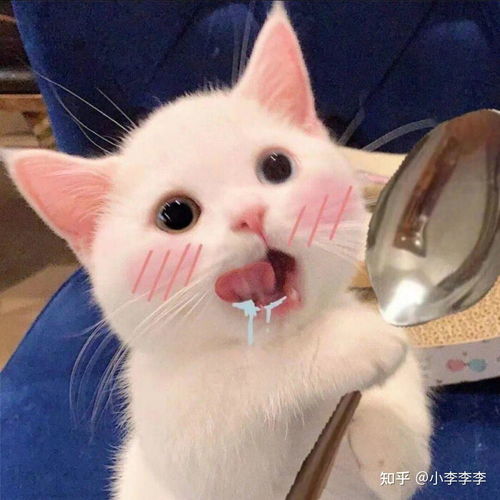  啊啊啊惊慌我和高三的学弟在一起了甜甜甜
