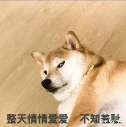  大学生选择第一次恋爱对象时最好不要选择哪些人