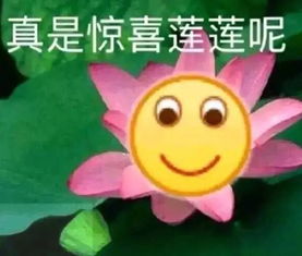  盘点旅游时遇到的奇事,实在令人难忘