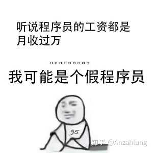  有哪些适合程序员的表情包