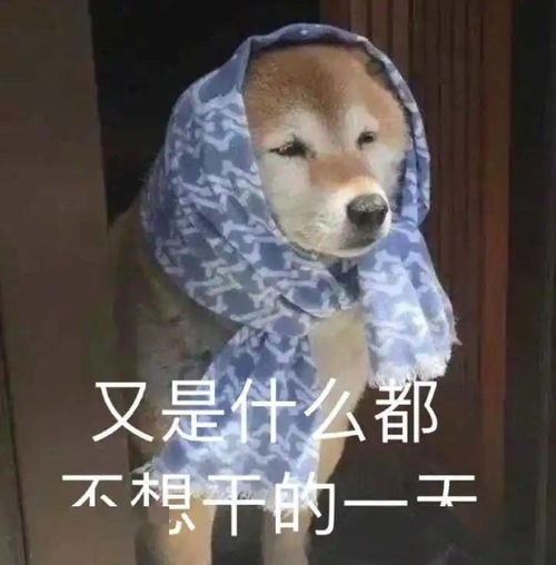  超多多多多多图预警是表情包哦