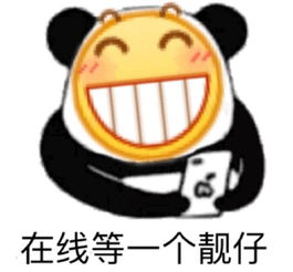 小黄脸表情包大全熊猫
