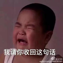  表情包爆红网络,乡村爱情捧红了一个小胖墩