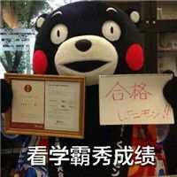  熊本熊qq表情系列,全套搞笑熊本熊图片