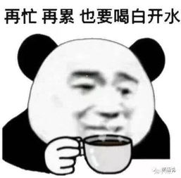  有哪些万能的表情包推荐