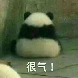 天还未暮人却老的微博微博 天还未暮人却老的微博微博