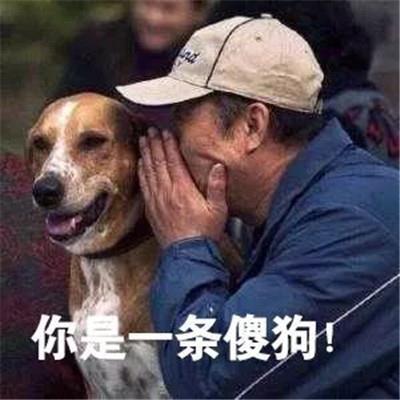  已经入场采取定投计划