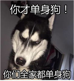 秀恩爱虐狗表情包情侣