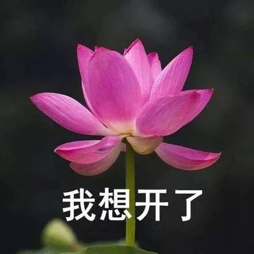  听说这两天有人已经脱下羽绒服了