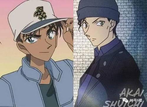  柯南里cp竟多达32对青山老儿,你确定写的不是偶像剧