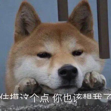  雨水收手大好春光在等你