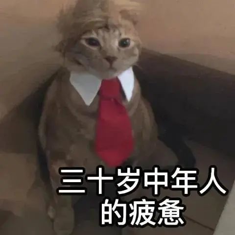  可爱沙雕表情包我出5块钱悬赏,请帮我找到我的爱情