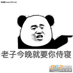 必须爱我没有选择表情包我的菜根花宝贝表情包图片下载乐游网游戏下载