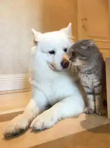 咬死你表情包世界最