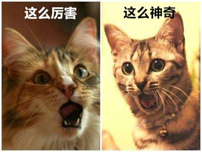  原来装一套奥普集成墙面的房子也可以寻找诗和远方