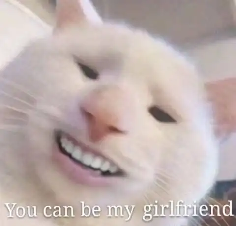 权志龙表情包搞笑沙雕猫