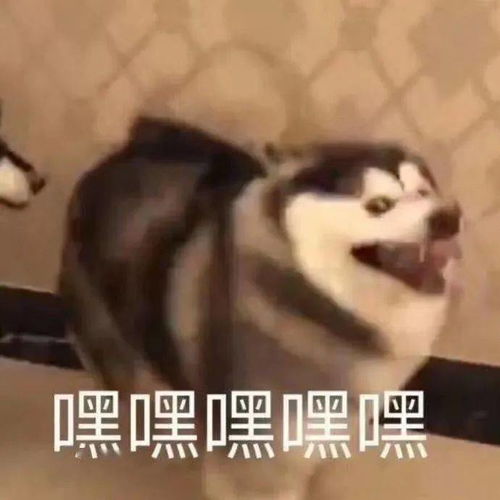  放假通知铜梁人最多可连耍9天还有更开心的是