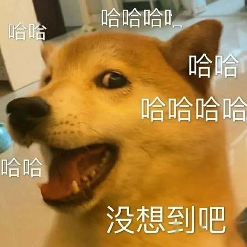  再过几天,湖南要大范围降雪了快看看益阳会不会下雪