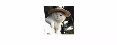 日思vol.24情商不够的人,是用不好表情包的 日思vol.24情商不够的人,是用不好表情包的