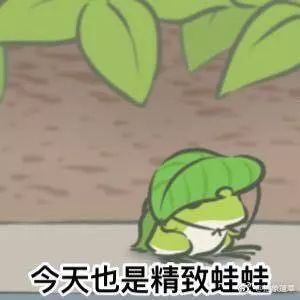  蛙蛙,你什么时候回来呀