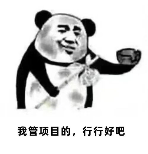  你是项目经理一定年薪百万吧