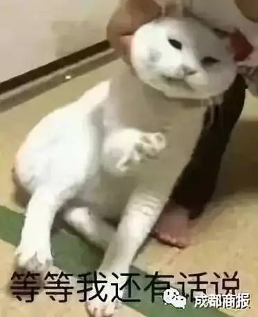 无语平时不理人,结婚给全公司发请帖,清洁工都不放过 无语平时不理人,结婚给全公司发请帖,清洁工都不放过