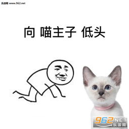  向xx低头表情包合集向xx低头表情包下载乐游网游戏下载