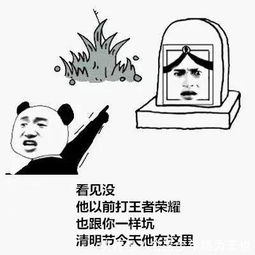  王者荣耀清明节之有趣表情包,以后打王者荣耀你得走点心了