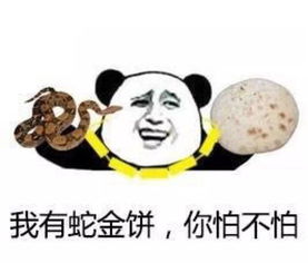  汪星人把一大坨脏玩具甩进了主人的饭菜里,主人问狗肉怎么做好吃