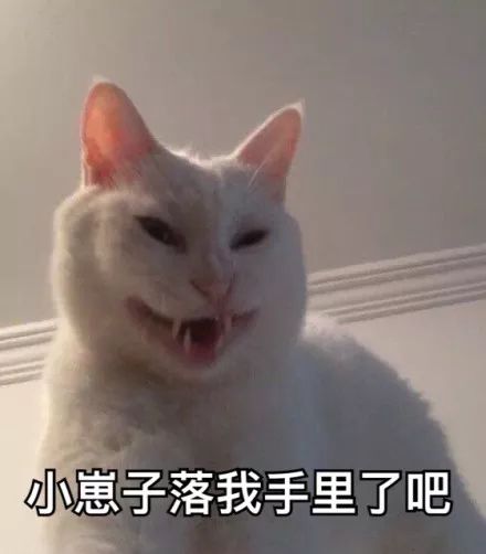  想把我家的猫纹在身上,可是它不配丑也