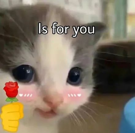  猫咪头拿花表情包合集