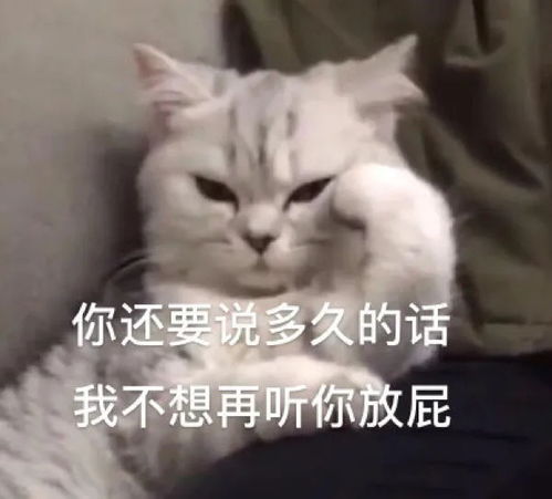  沙雕表情包快乐每一天