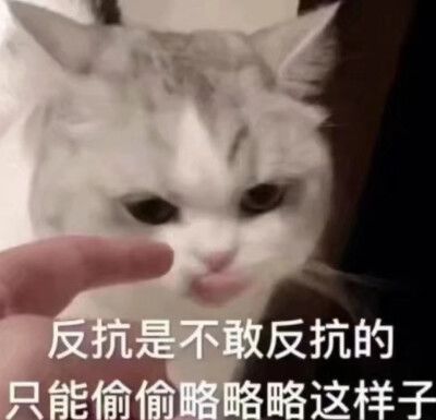  一梦江湖单身狗日常爆哭时间之别人家的甜甜爱情