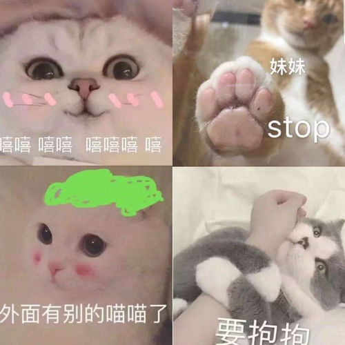  100张撩汉表情包,不信撩不动你