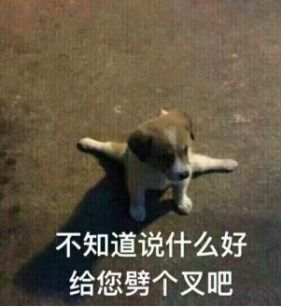 溜了表情包图片劈叉