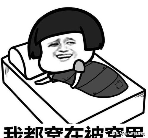 喂狗粮表情包柯基前