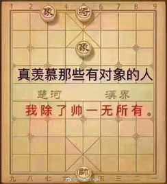 你没对象表情包图片象棋