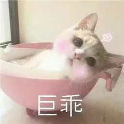  鲁q车主注意了临沂将新增52处电子警察抓拍点具体位置在这里