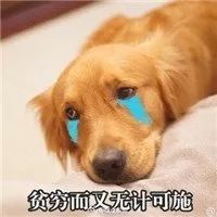  8人一顿吃掉40多万,上海天价账单居然是真的神秘食客身份透露