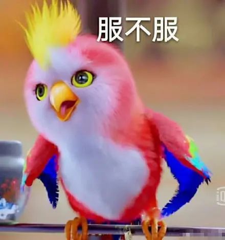  爱囤粮记性差的松鼠,为啥能收获一片森林盘点大自然的种树达人