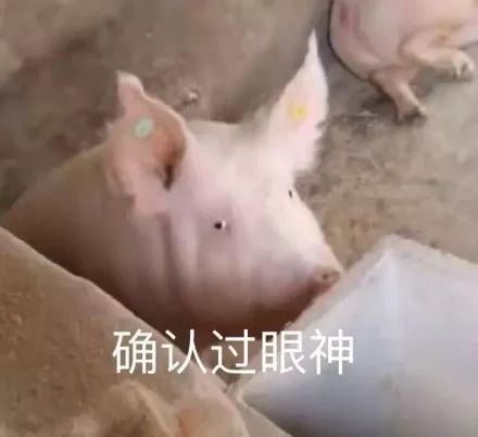 2018最新斗图表情包开赛